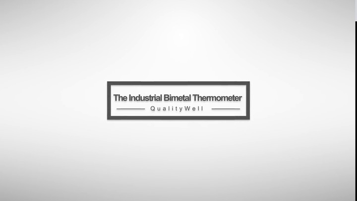 Termometro per acqua calda - IH series - Shanghai QualityWell industrial  CO.,LTD. - bimetallico / analogico / IP55